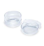 Picture of Petri Dishes
