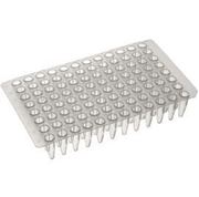 Picture of PCR Products
