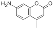 Picture of 7-Amino-4-Methylcoumarin