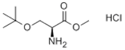 Picture of (S)-2-Amino-3-tert-butoxypropionic acid methyl ester hydrochloride; O-tert-Butyl-(S)-serine methyl ester hydrochloride; O-tert-Butyl-L-serine methyl ester hydrochloride; O-tert-Butylserine methyl este