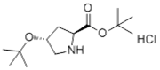 Picture of (2S,4R)-tert-butyl 4-tert-butoxypyrrolidine-2-carboxylate hydrochloride; L-Proline, 4-(1,1-dimethylethoxy)-, 1,1-dimethylethyl ester, hydrochloride (1:1), (4R)-