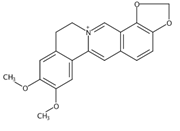 Picture of Epiberberine