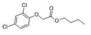 Picture of 2,4-D 1-butyl ester
